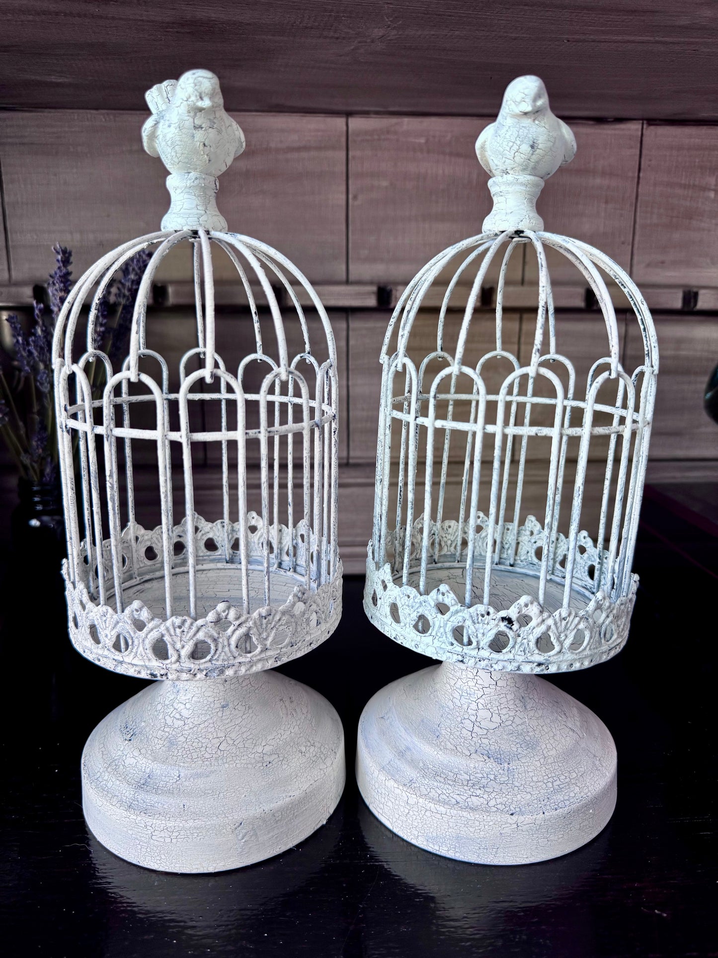 Metal Birdcage Cloche