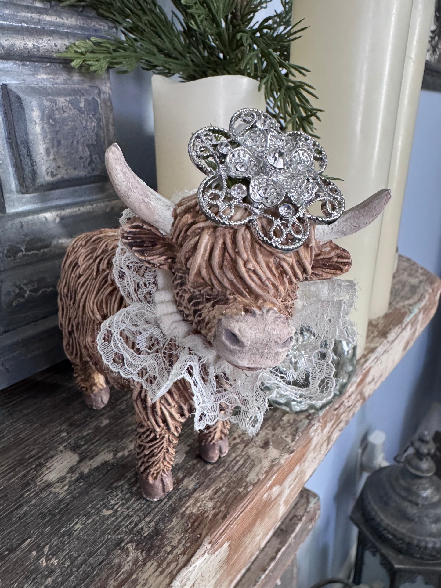 Highland Cow