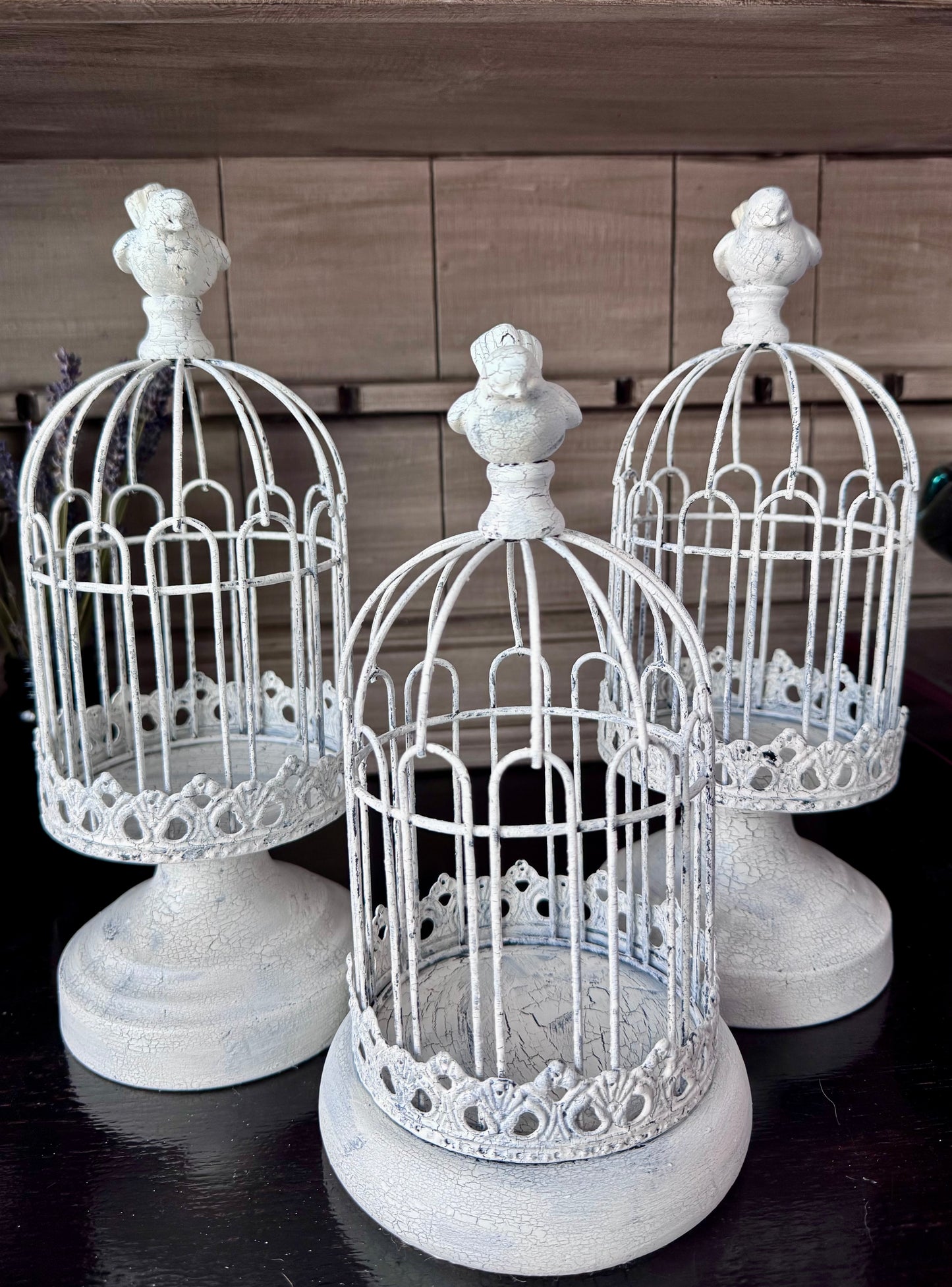 Metal Birdcage Cloche