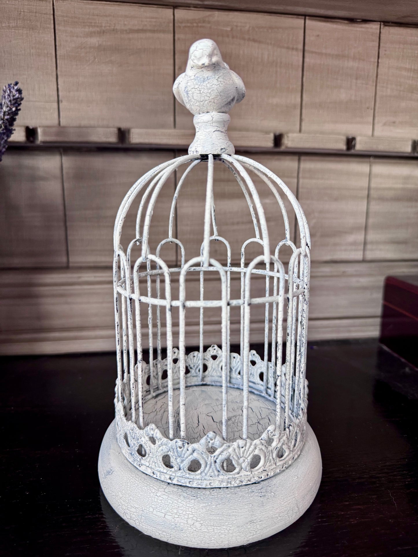 Metal Birdcage Cloche