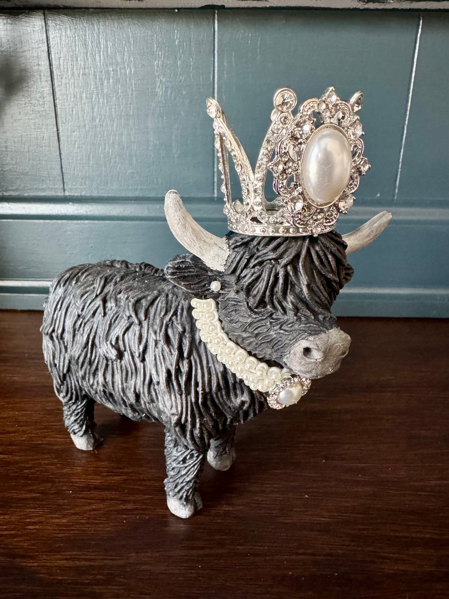 Highland Cow