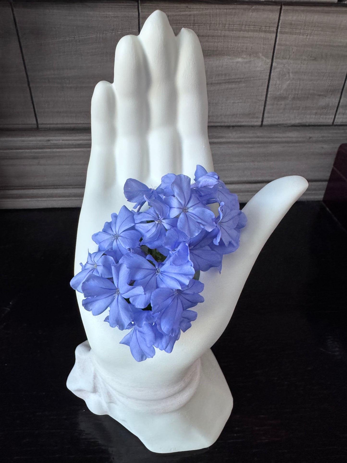 Hand Painted Hand Vase