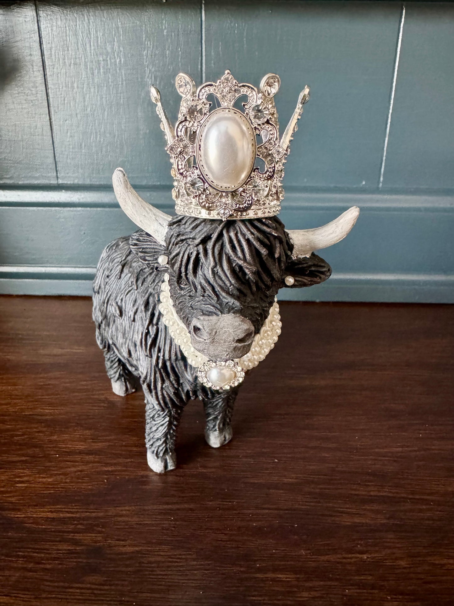 Highland Cow